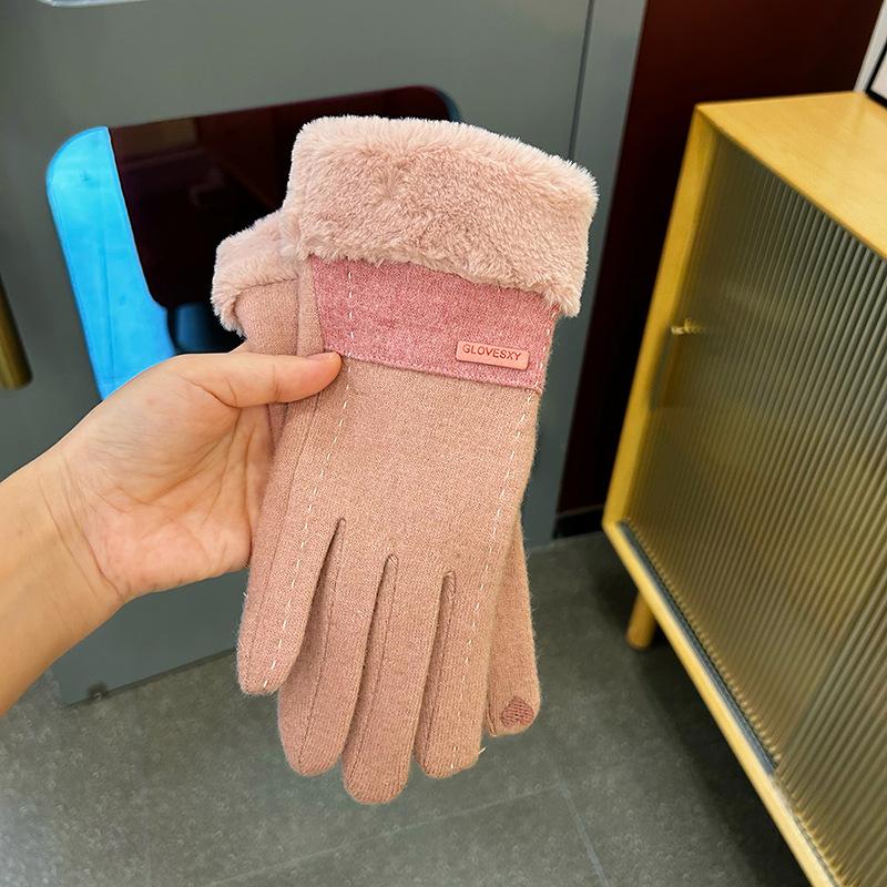 Warm Gloves for Women In Autumn and Winter Korean Fashion Touch Screen Plus Velvet and Thickened Cycling Color Matching Cold-proof Velvet Labeling