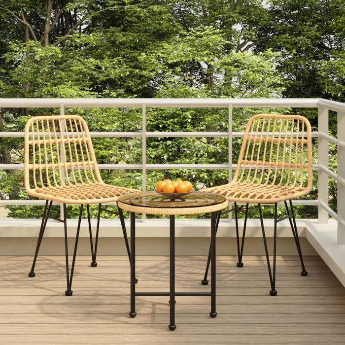 VidaXL Ensemble à Manger de Jardin 3 pcs, Chaises à Manger avec Accoudoirs, Ensemble de Meubles avec Table, Mobilier de 3157831