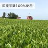 Itoen Oi Ocha Matcha-infused Genmaicha 100g Made 100 Domestic Tea Leaves