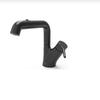 Moen Carey Pull-Out Basin Faucet with Mouthwash Function