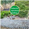 50pcs Non-Woven Seedling Bags Growth Bags Planting Plant Bags Biodegradable Seed Seedling Bags Nursery Growth Bags