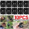 10PCS Plant Root Growing Ball Reusable Plants Rooting Ball Reproduction Device Garden Cuttings Grafting Rooting Propagation Ball