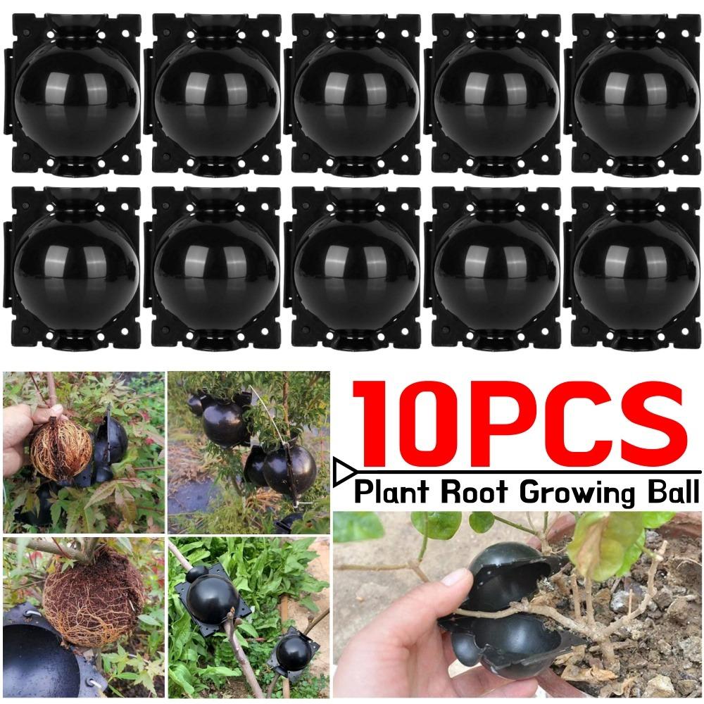 10PCS Plant Root Growing Ball Reusable Plants Rooting Ball Reproduction Device Garden Cuttings Grafting Rooting Propagation Ball
