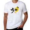 Goldfinch Tshirt Modern Style Print Tshirt