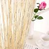 Colorful Line Curtain 100x200cm Door Window Curtain String Curtain  Wedding Party Decoration