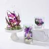 HFlora New Arrival Small Size Preserved Orchid in Glass Cloche-Valentine's Day & Graduation Home Decor Gift