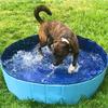 Foldable Pet Dog Bathing Tub Pool for Small Dogs Cat Pool Toy with Fish-Water Cat ToysInteractive, Portable Pet Grooming Bathtub