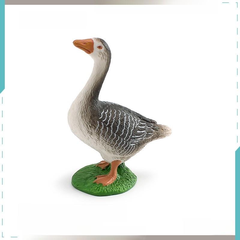 Farm Animal Chicken Duck Goose Model Set For Kids Education And Home Decor With Pvc Realistic Bird Figures
