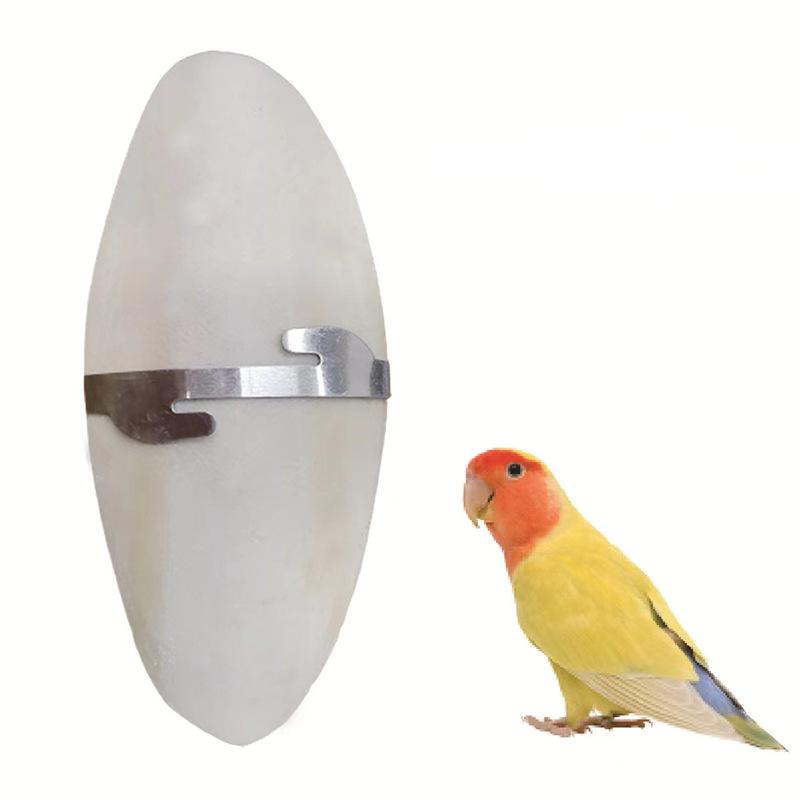 Natural Cuttlefish Bone for Birds 11-13cm Size Random Shape Durable Mineral Supplement for Beak Maintenance and Dental Care