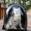 Portable Space Capsule Breathable Cat Bag, Pet Travel Supplies, Carrying Pets Travel Essential
