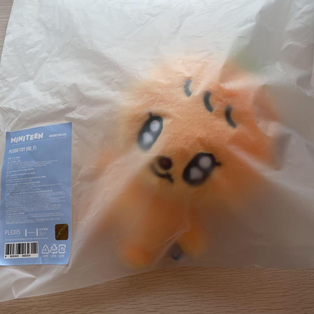 [USED] MINITEEN Pop-up Plush Toy Seventeen Seungkwan