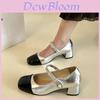Elegant French Style Chunky Heel Mary Jane Shoes For Women In Classic Colors