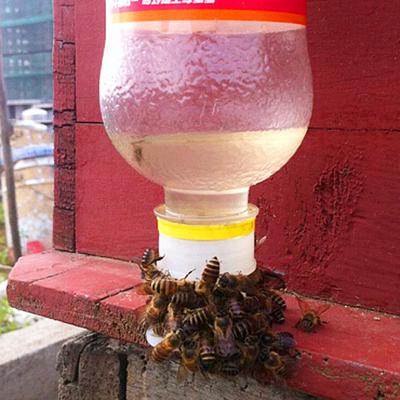 10 Pcs Beekeeping Drinking Fountain Cup Water Bottle Cap Insect Feeding Drinker Apiculture Automatic Waterers Beekeeping Tools