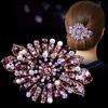Rhinestone-Haarspange im koreanischen Stil - Elegantes Frühlings-Haarschmuckstück für Damen