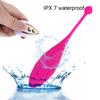Wireless Control Panties Vibrating Eggs Vibrators Wearable Balls Vagina G Spot Massager Clit Stimulator Adult Sex Toys for Women