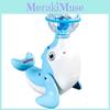 Light Up Dolphin Toy With Sound And Light For Kids Play And Development