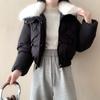 New lamb wool big fur collar women's short high-end celebrity style temperament small winter cotton-padded coat batch