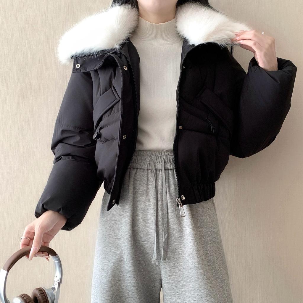 New lamb wool big fur collar women's short high-end celebrity style temperament small winter cotton-padded coat batch