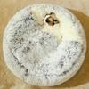 Fluffy Hooded round Cat Bed Anti-Anxiety Cave with Anti-Slip Bottom Machine Washable Pet Blanket Comfortable Soft Cat House