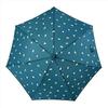 Nifty Colors Long Umbrella, Skateboard Dog Smart Jump, 1701GR