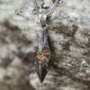 Simple Wishing Stone Pendant Necklace Clavicle Chain Adjustable Sweater Chain Vintage Collar Necklace Fashion Jewelry