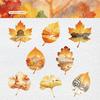 8pcs/Set New DIY Leaves Stickers Observing Leaves Adhesive Stationery Stickers Decorative Sticker Scrapbooking Diary Planner