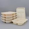 Compostable 3-Compartment Takeout Lunch Boxes