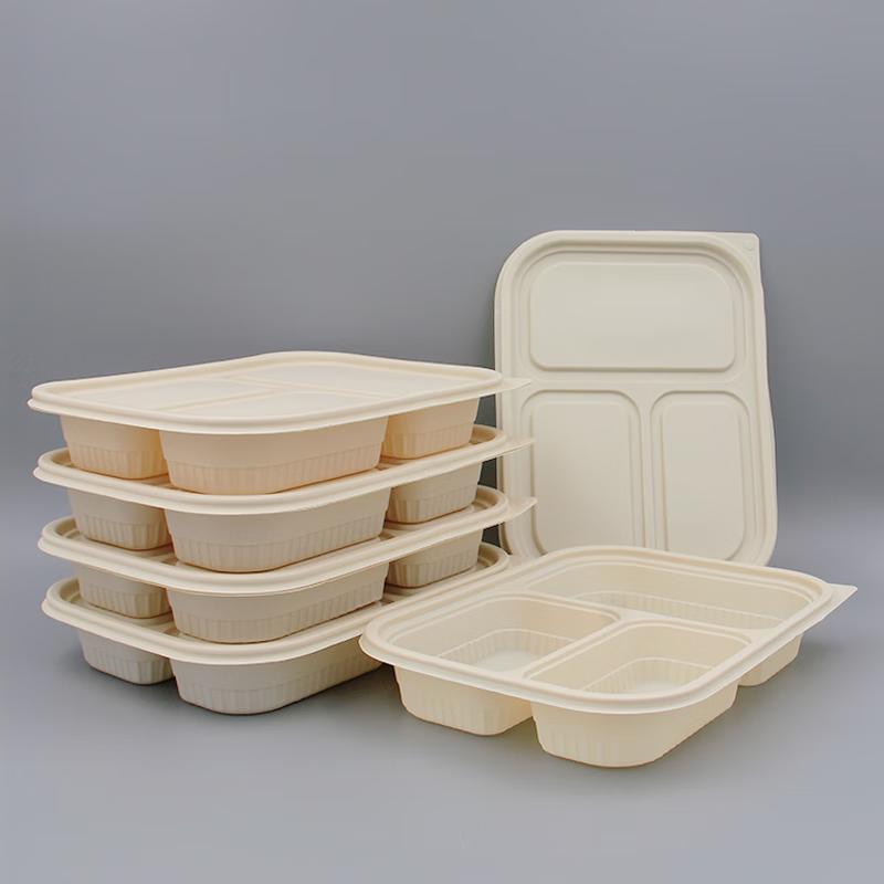 Compostable 3-Compartment Takeout Lunch Boxes