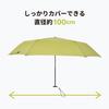 AMVEL Folding Umbrella FLATLITE Standard Carbon Dimensions When 100 X 24cm X 4cm X UV A2751 [AMVEL] - Ultra-thin 23mm, Ultra-lightweight 105g,