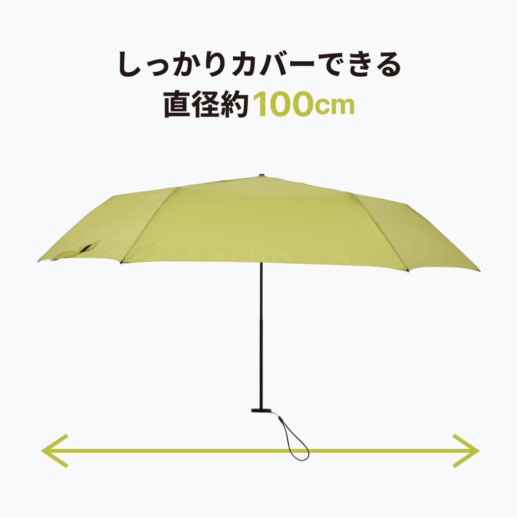 AMVEL Folding Umbrella FLATLITE Standard Carbon Dimensions When 100 X 24cm X 4cm X UV A2751 [AMVEL] - Ultra-thin 23mm, Ultra-lightweight 105g,