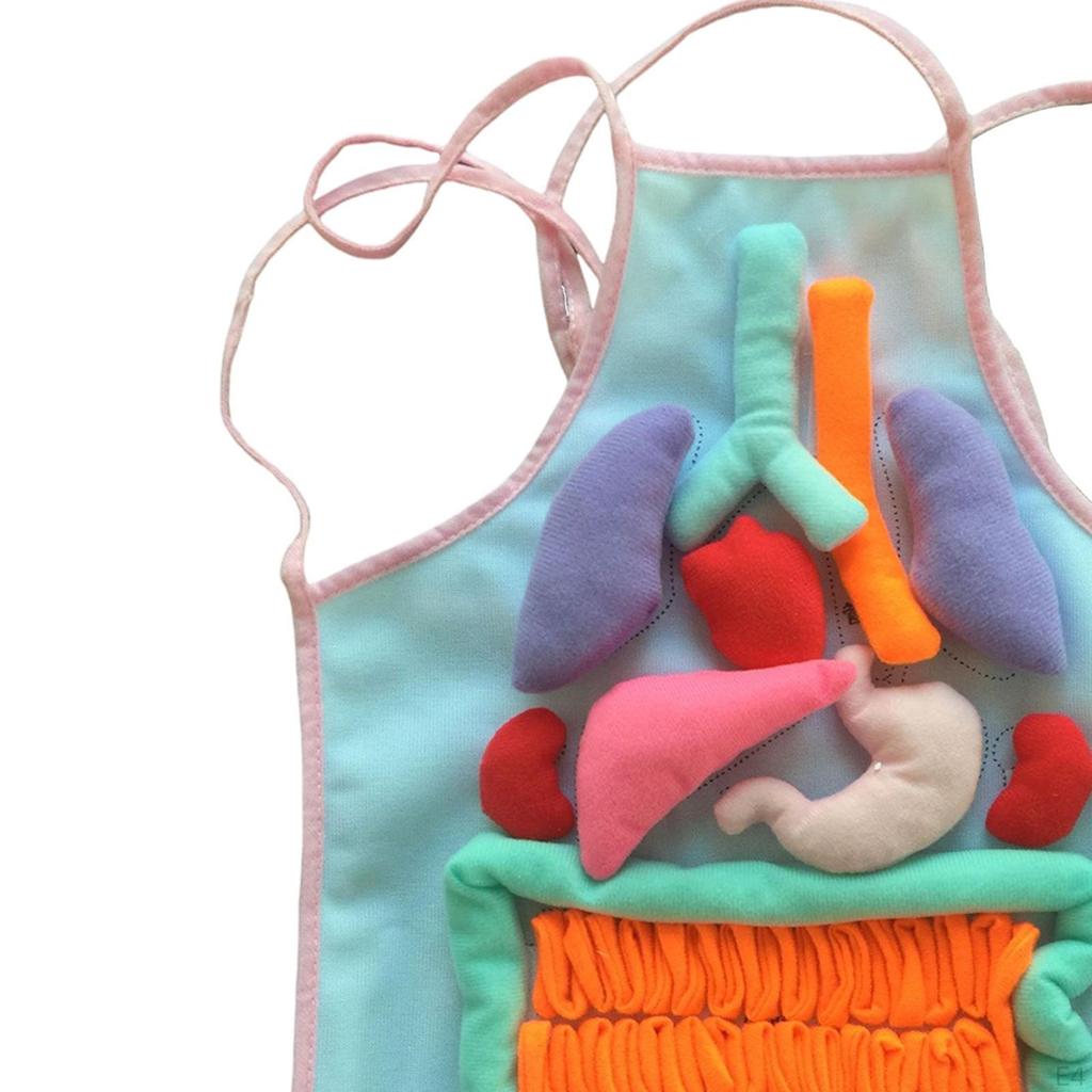 3D Organ Apron Aprons for Kid Awareness Montessori Pretend Play Human Body Model Children