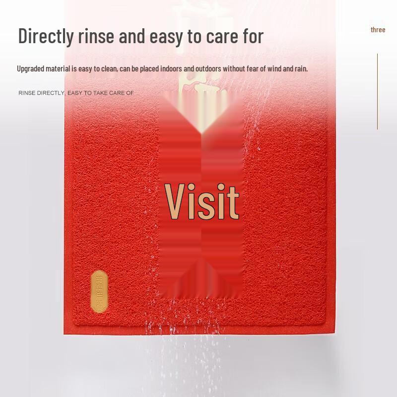 Aegis Silk Loop Welcome Entrance Mat