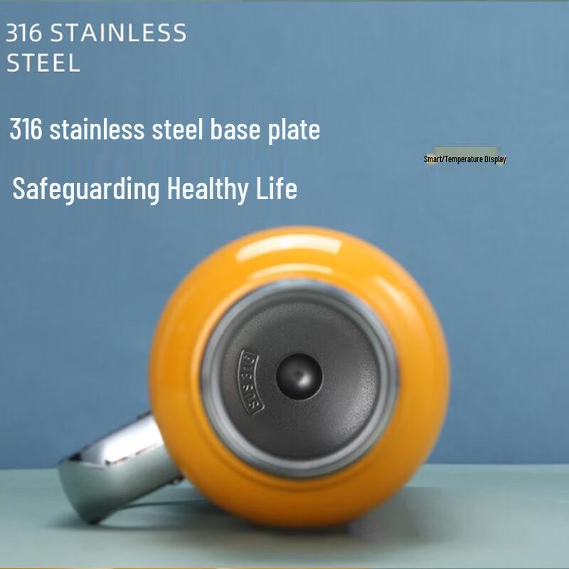 Shuixi 316 Stainless Steel Large Capacity Insulated Thermos & Tea Pot