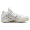 Nike Zoom KD 3 White Metallic Gold Men Sneakers Light-Bone DZ3009-100
