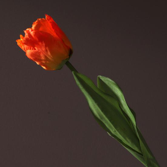 Flores de Tulipán Artificiales Tacto Real Tulipán de Tallo Largo Ramo con Hojas para Ramo de Boda Arreglo Floral de Primavera Decoración de Mesa para el Hogar