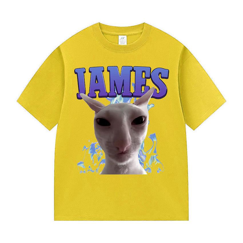 James IAMES Funny Cat Meme Tshirts Stupid Joke Gifts Cat Lover short sleeve tshirt Unisex Women fashion Oversized Cotton T Shirts