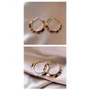 Vintage Leopard Print Large Hoop Earrings For Women Light Luxury Niche Unique Jewelry