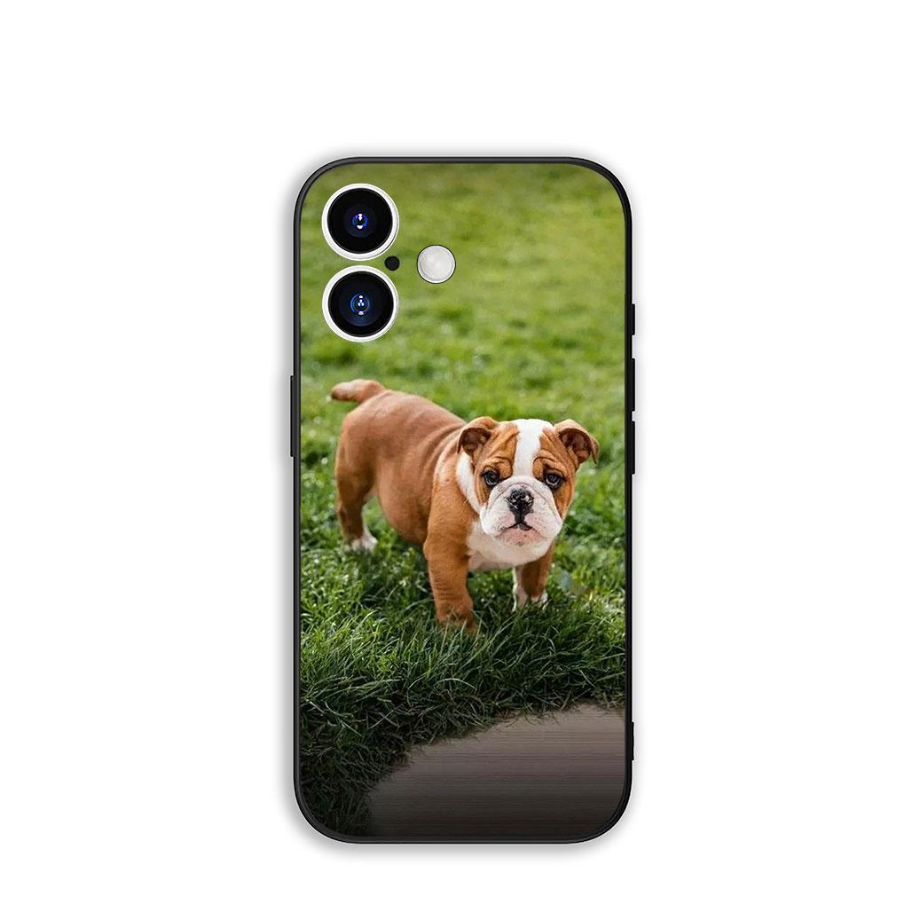

Phone Cover France Bulldog Cute Dog for Samsung Galaxy S25 S24 S22 S23 FE Ultra Plus A56 A05 A06 A15 A16 A55 S7 Edge Case Galaxy S24 FE