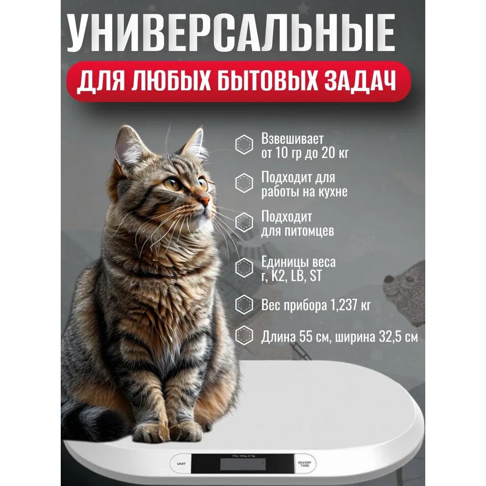 Neonatal electronic weight is less than 20 kg.