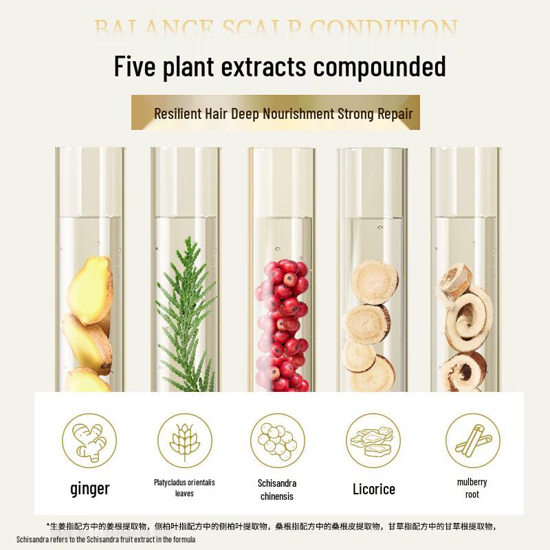 Ziyuan Ingwer Stärkende Haarspülung