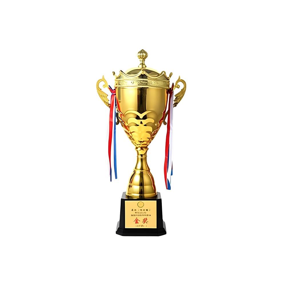 

Small Size Winner Award Trophy 60/57/50/47/41/43/40cm Champion Trophy School Rewarding 43x12CM-Type-A