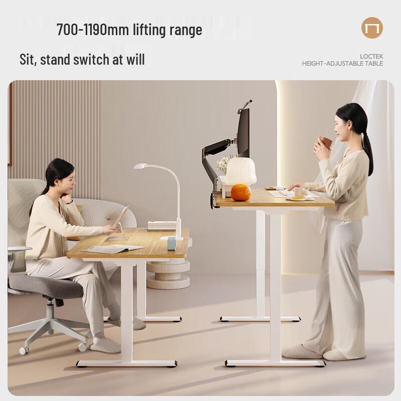 Loctek ES2 Dual Motor Electric Standing Desk Frame