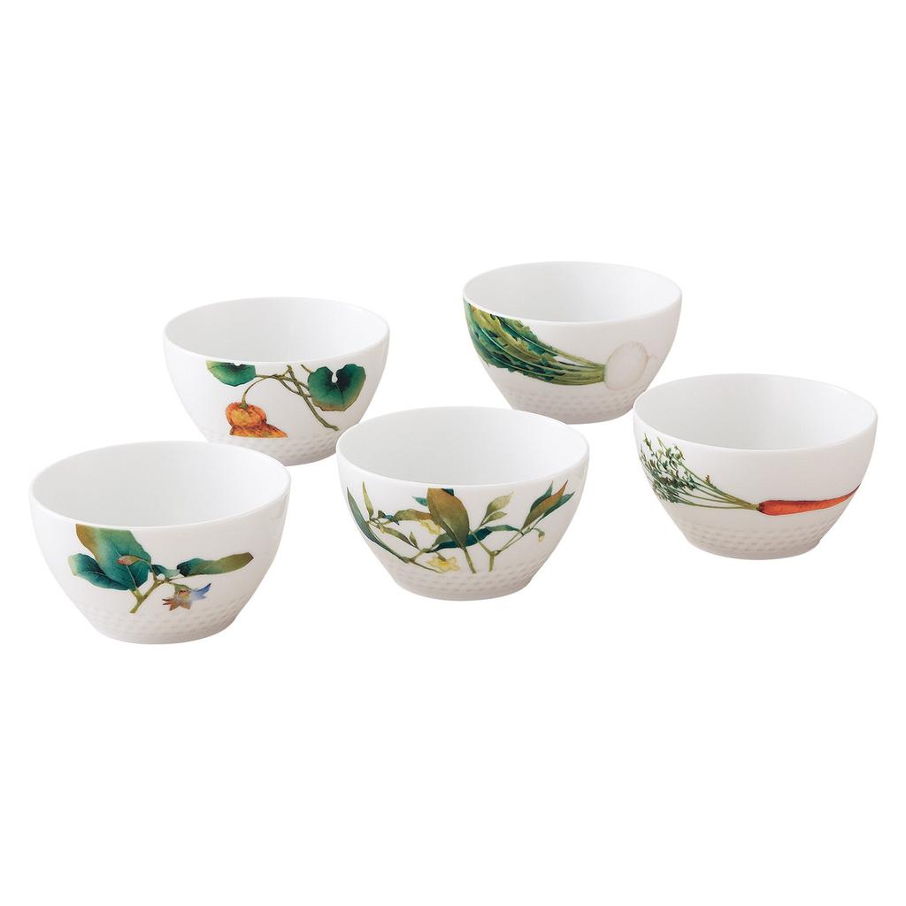 Noritake Bowls (Set of 5) 11cm, 345cc, Kyoka Shunsai Design, Microwave and Dishwasher Safe, Fine Porcelain, F94502/1620-37