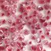 50Pcs 3D Resin Flowers Nail Art Charms Accessories Rose Camellia Nail Decor Diy Nails Decoration Materials Manicure Salon Supply