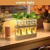 With Wood Stand Hydroponics Plants Glass Terrarium Adjustable Transparent Propagation Tube  Desktop