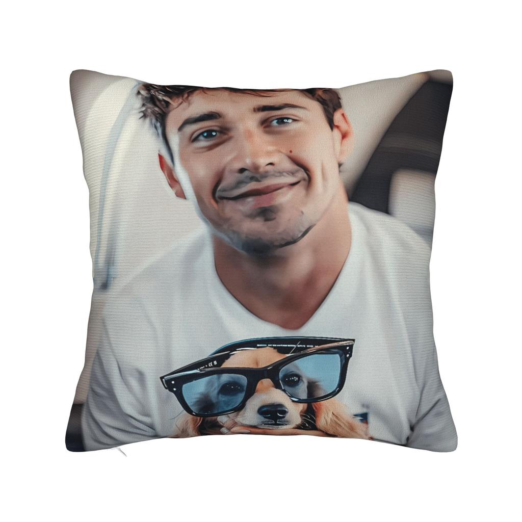 Charles Leclerc Pillow Cover  Soft Cushion Cover Retro Trendy Pillow Case For Sofa Couch Bed Living Room