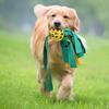 Durable Hollow Dog Snuffle Ball Toy Treat Dispensing Interactive Chew Toy Relieve Boredom for Pet Training Play