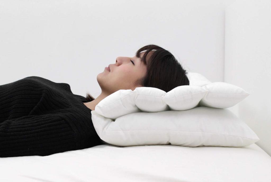 Danfill Pillow Me Pillow Me with Dedicated Pillow Cover JPA213-AKS18-3