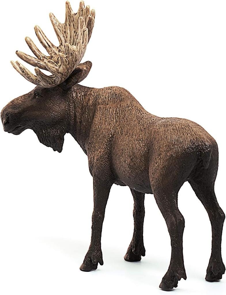 Schleich Wildlife Elk Figure 14781 (Male)
