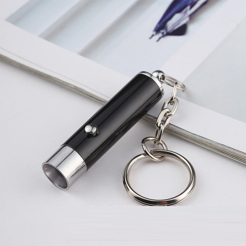 Toy Red Pointer Dog Interactive Training Tools LED Torch Light with Keychain